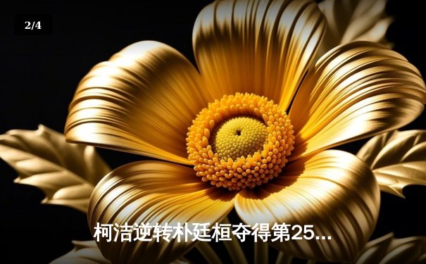 柯洁逆转朴廷桓夺得第25届三星杯 中国围棋再迎巅峰时刻 - 2